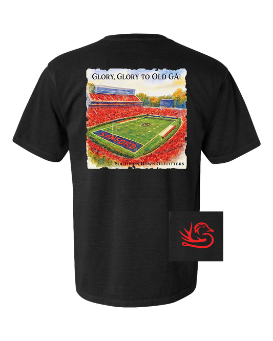 Glory Glory to Old GA! Tee